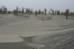 Taklamakan_25