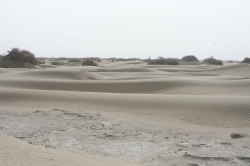 Taklamakan_26