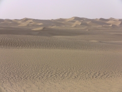 Taklamakan_29