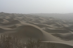 Taklamakan_32
