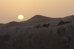 Taklamakan_38
