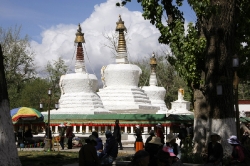 Lhasa