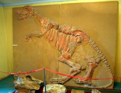 Динозавр из музея г. Даланзадгада
