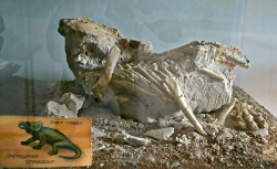 Динозавр из музея пади Елым-Ам