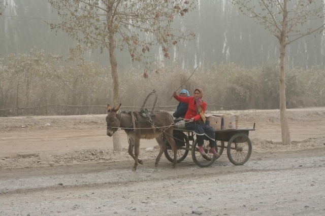Taklamakan_89