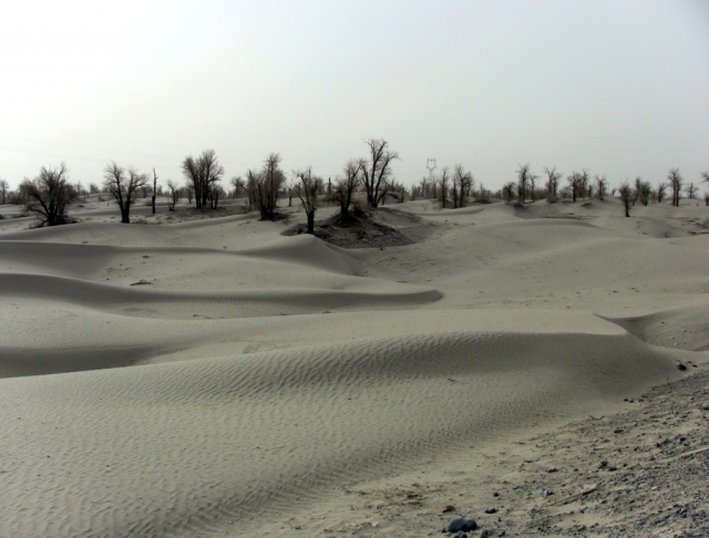 Taklamakan_21