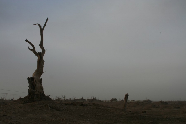 Taklamakan_22