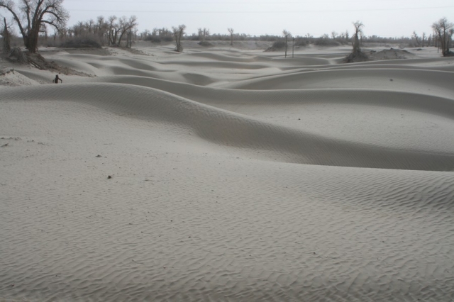 Taklamakan_24
