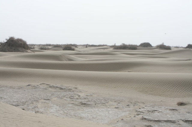 Taklamakan_26