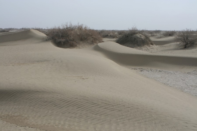 Taklamakan_27