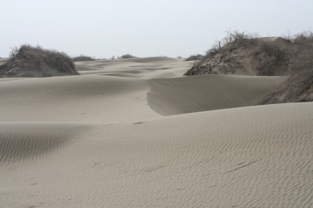 Taklamakan_28