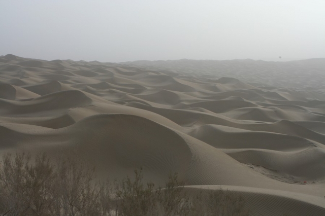 Taklamakan_32