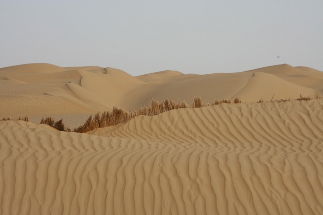 Taklamakan_34