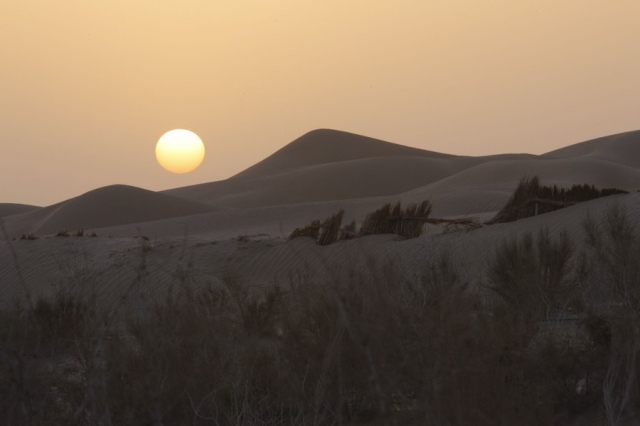 Taklamakan_38